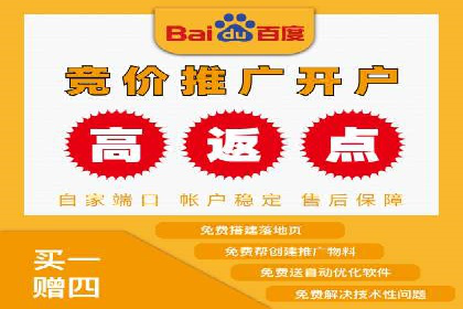 成功SEM代理案例：精准投放的策略